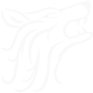Timberwolf Server