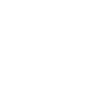 X-House smart home