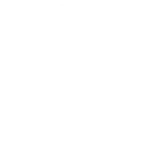 Wink: Porkfolio