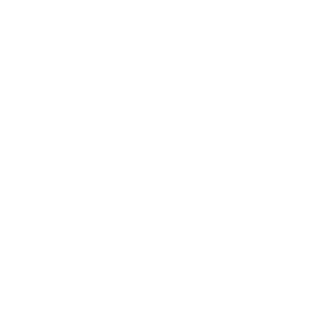 U.S. Independence Day